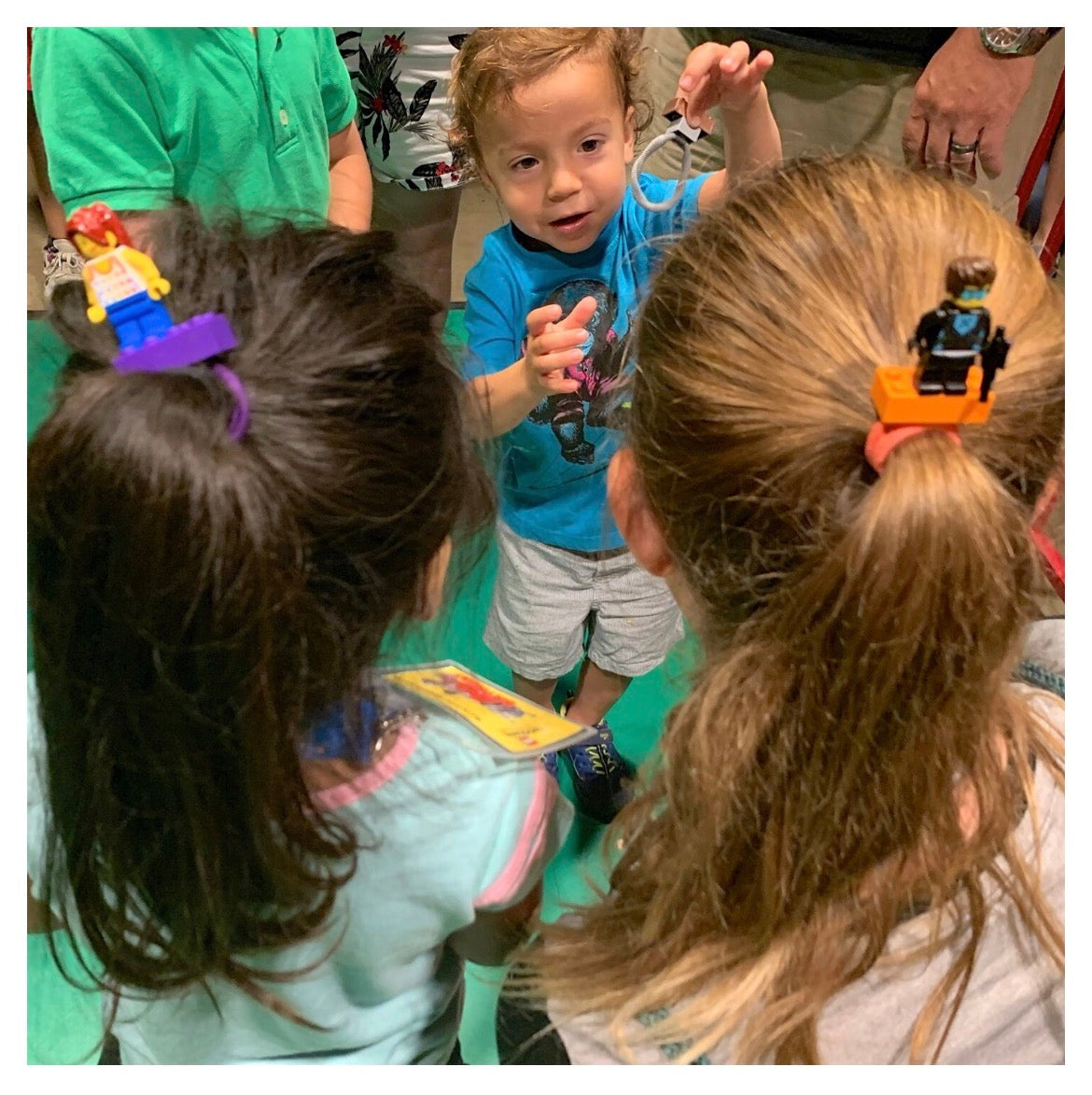 Rainbow Bricklet Collection